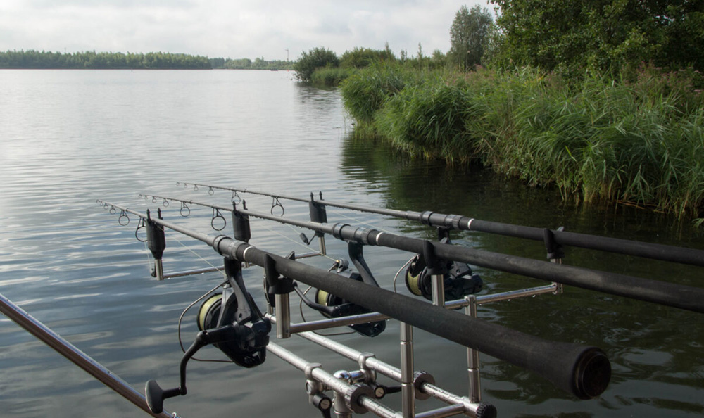 Vissen Verkoop -Vissen Verkoop 4