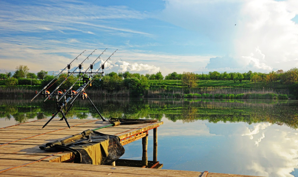 Vissen Verkoop -Vissen Verkoop 5